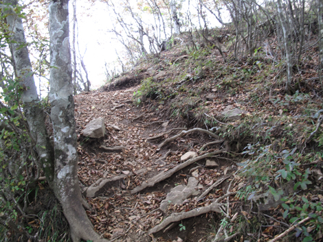 20171012hike (195)